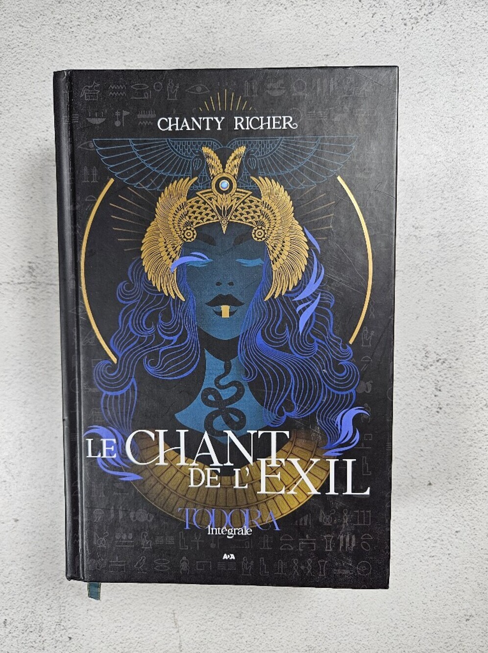Le Chant de L'Exil by Chanty Richer French Hardcover Novel